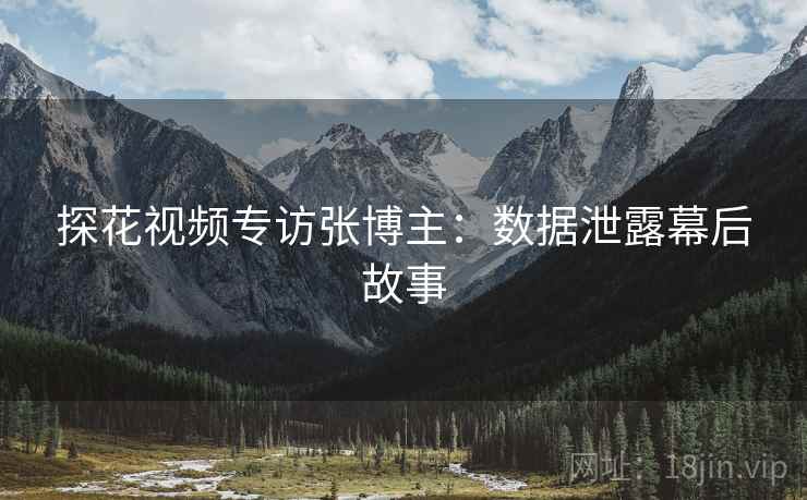 探花视频专访张博主：数据泄露幕后故事