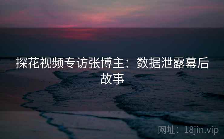 探花视频专访张博主：数据泄露幕后故事