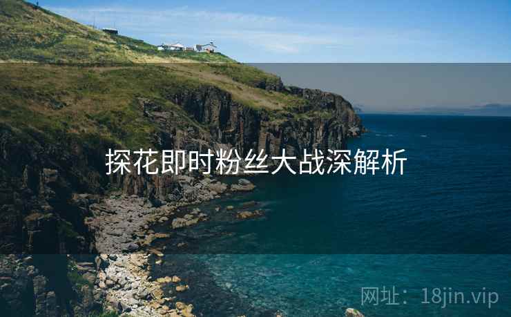 探花即时粉丝大战深解析