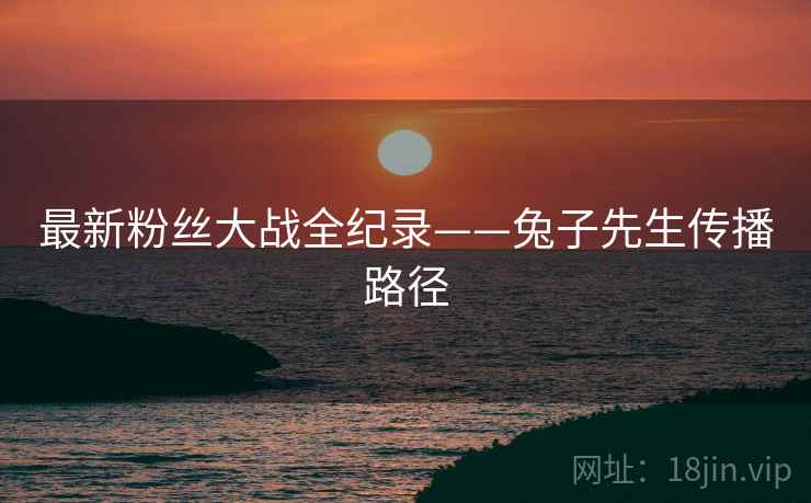 最新粉丝大战全纪录——兔子先生传播路径