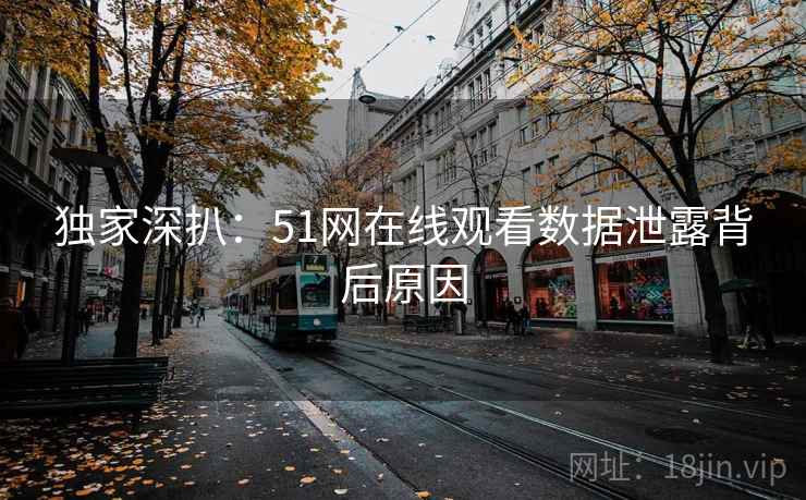 独家深扒：51网在线观看数据泄露背后原因