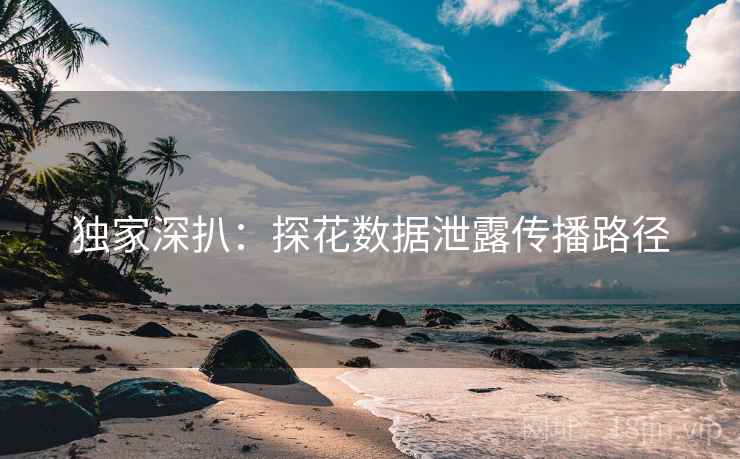 独家深扒：探花数据泄露传播路径