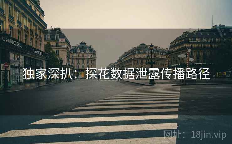 独家深扒：探花数据泄露传播路径