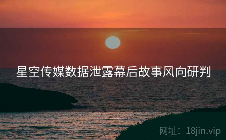 星空传媒数据泄露幕后故事风向研判