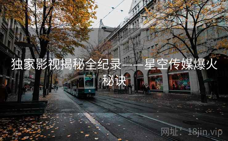 独家影视揭秘全纪录——星空传媒爆火秘诀