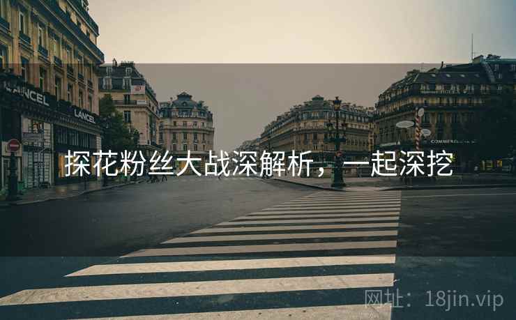 探花粉丝大战深解析，一起深挖