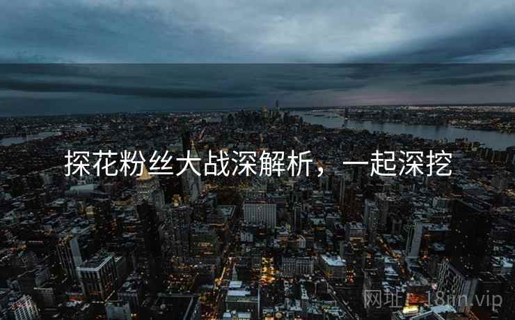 探花粉丝大战深解析，一起深挖