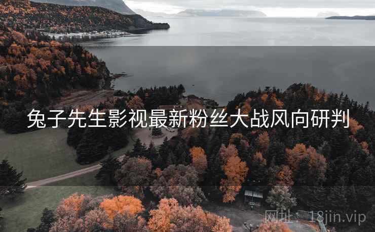 兔子先生影视最新粉丝大战风向研判