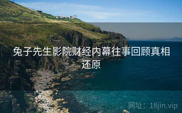 兔子先生影院财经内幕往事回顾真相还原