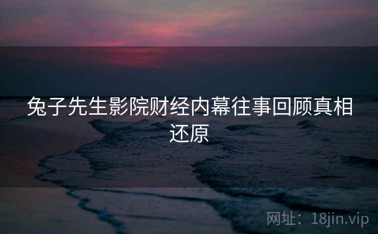 兔子先生影院财经内幕往事回顾真相还原