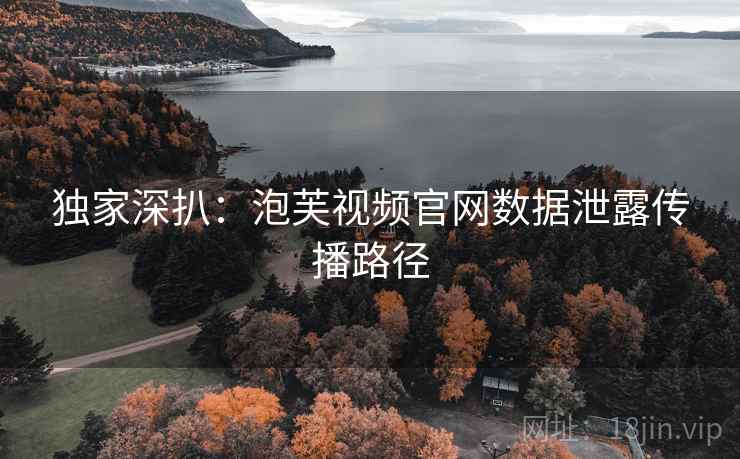独家深扒：泡芙视频官网数据泄露传播路径