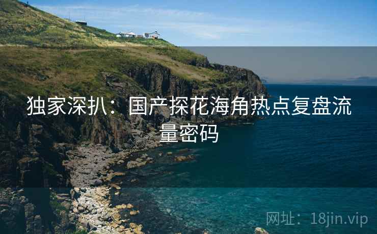 独家深扒：国产探花海角热点复盘流量密码